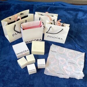 Pandora Elegant Gift Bag and Box Collection